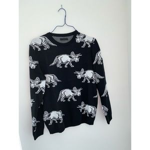 *Fun Dinosaur Sweater*